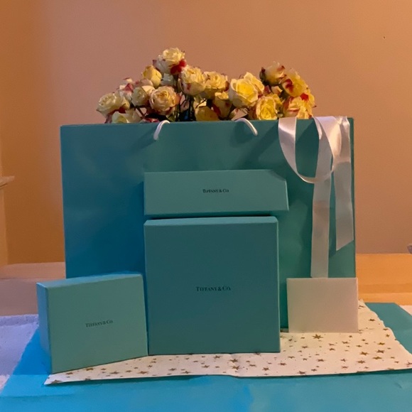 🎀 TIFFANY & CO. BAG & BOXES 🎀 - Picture 5 of 16